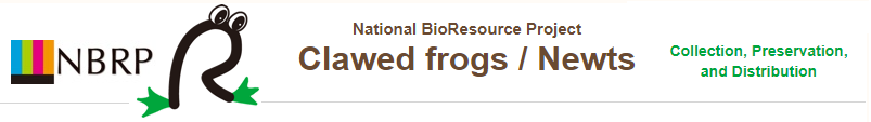NBRP Clawed frogs / Newts